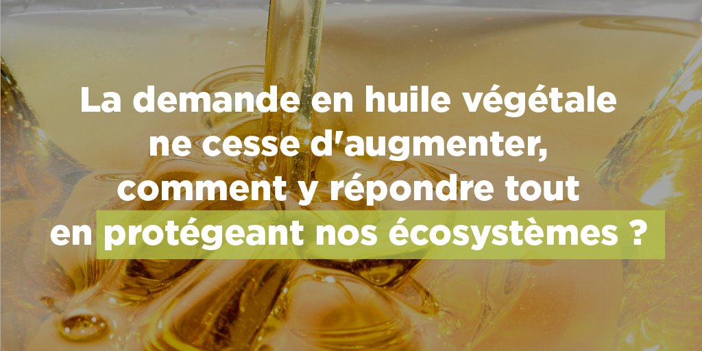 Comment répondre à une demande croissante en huile de palme sans contribuer à la déforestation ?

La solution : remplacer l’huile de palme par l’huile de palme… durable.

On vous explique tout ici 👇
alliance-preservation-forets.org/app/uploads/20…