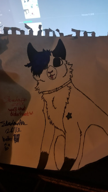 IvyTheBatFoxCat's tweet photo. absolute banger edgy warriors oc 
this was pretty much og Ivy plus edgy hair lool https://t.co/x8BoZd62Bm