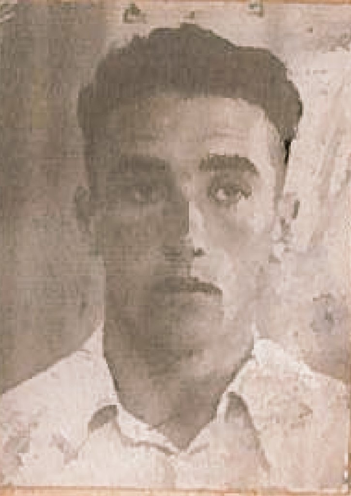 Esther P. Nogarol tweet media