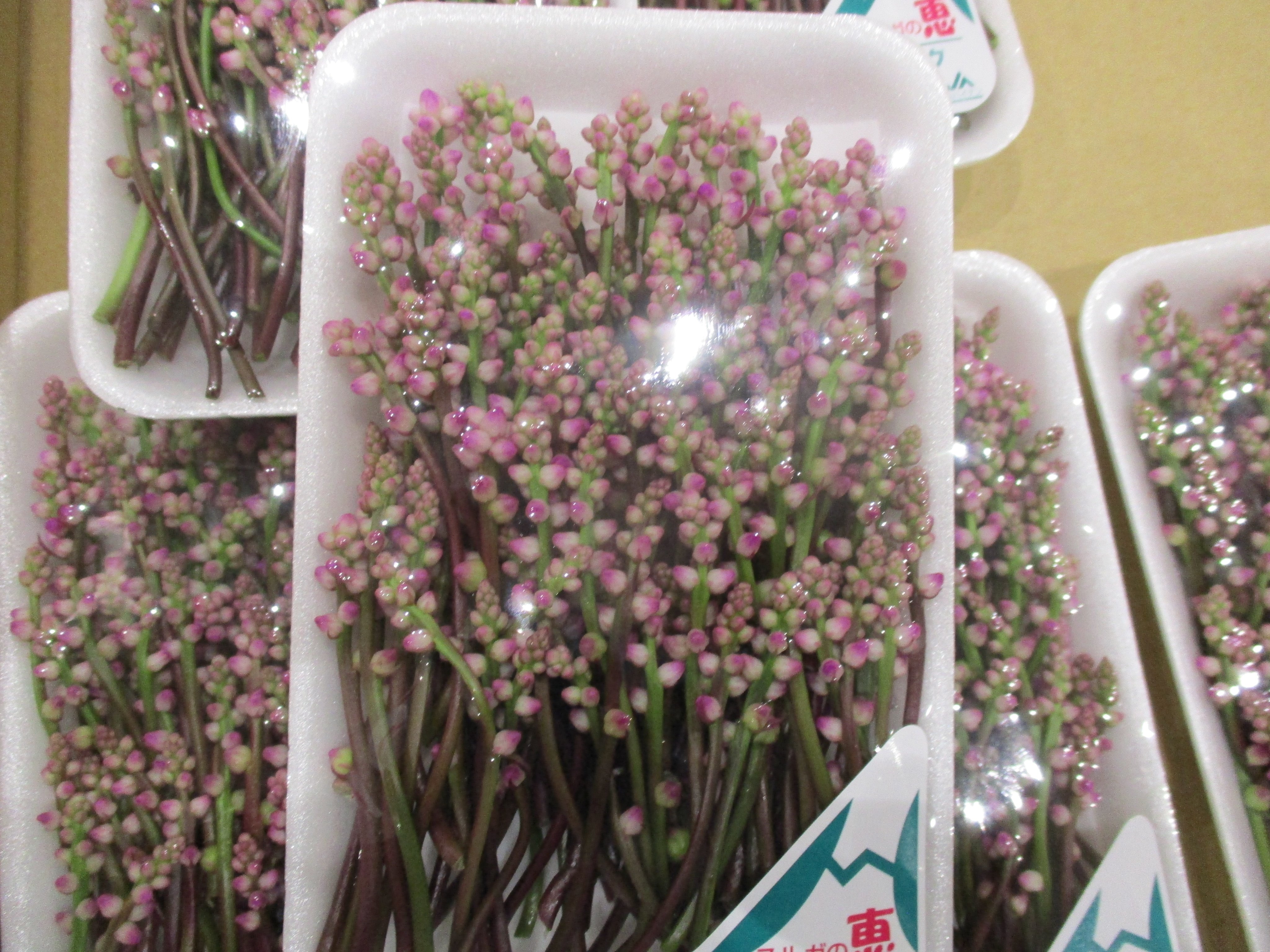 Kenetsu Narita つるむらさきの花 豊洲市場 つるむらさきの花 静岡 T Co Cbivvtiskd Twitter