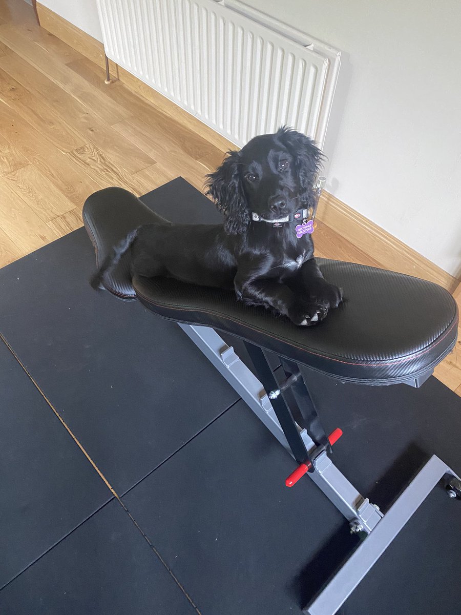 Fiona Lucey (@fionalucey1) on Twitter photo Looking forward to some healthy soup after this gym sess #gains #SOUPerSummer <a href="/cullyandsully/">Cully & Sully</a> Looking forward to some healthy soup after this gym sess #gains #SOUPerSummer <a href="/cullyandsully/">Cully & Sully</a>