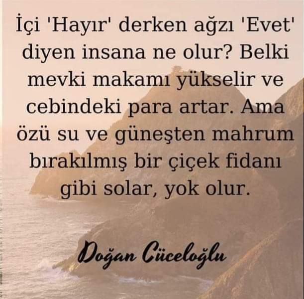 unalbayzat's tweet photo. Kesin ve net.. 🦅 https://t.co/tD5F5jo8NY