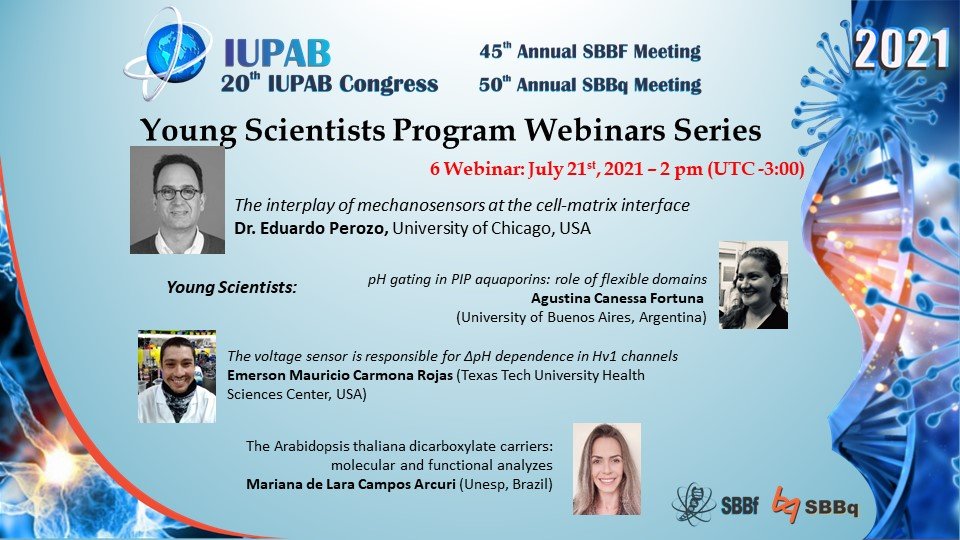 SBBq10's tweet photo. As part of the scientific activities of the 2021 IUPAB-SBBq-SBBf virtual meeting, a Young Scientists Program Webinar series. The next webinar will be on July 21st!
Free Registration: https://t.co/atVApDS2Xn https://t.co/mg8Koa89iU