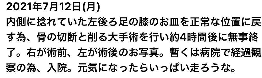 E8 86 9d E8 93 8b E9 A8 E8 84 B1 E8 87 E6 8b E8 A1 93 Twitter Search