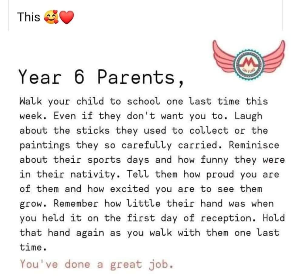 Zobear 🐻 tweet media