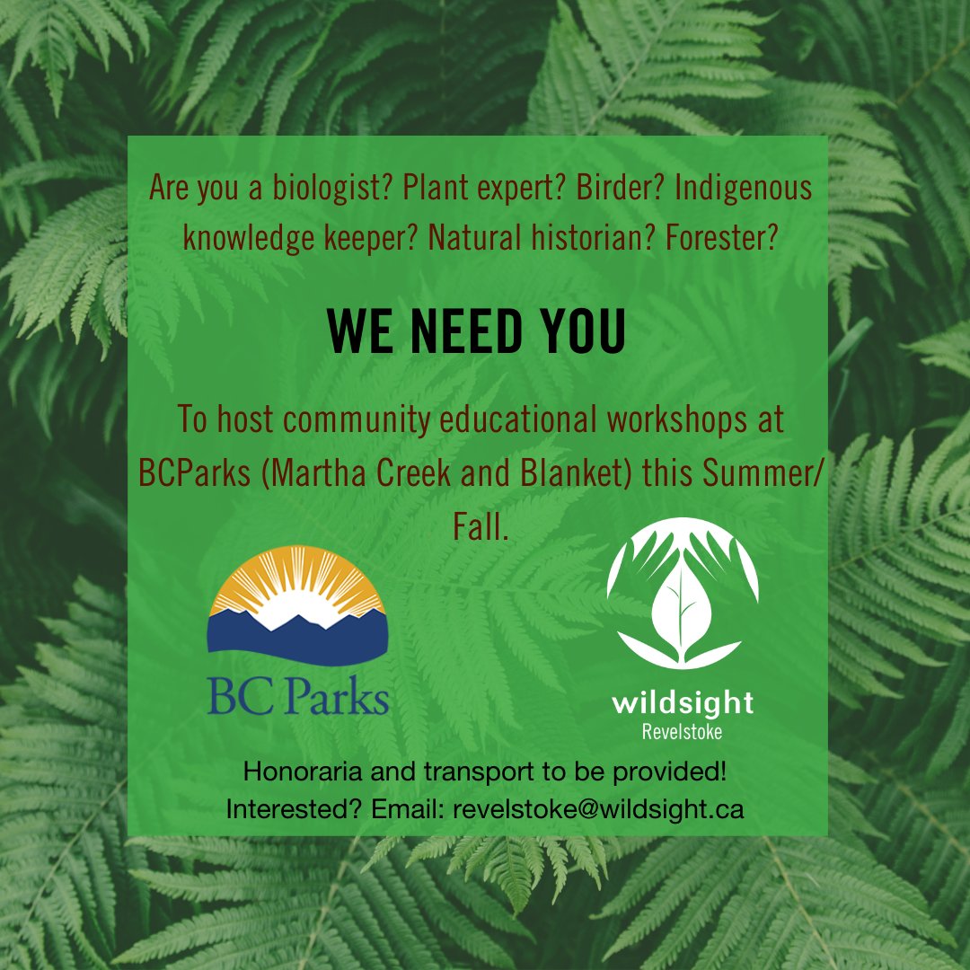WildsightRevy's tweet image. We need local  hosts for outdoor workshops for our community.

Honoraria provided.

Email: revelstoke@wildsight.ca to get involved!