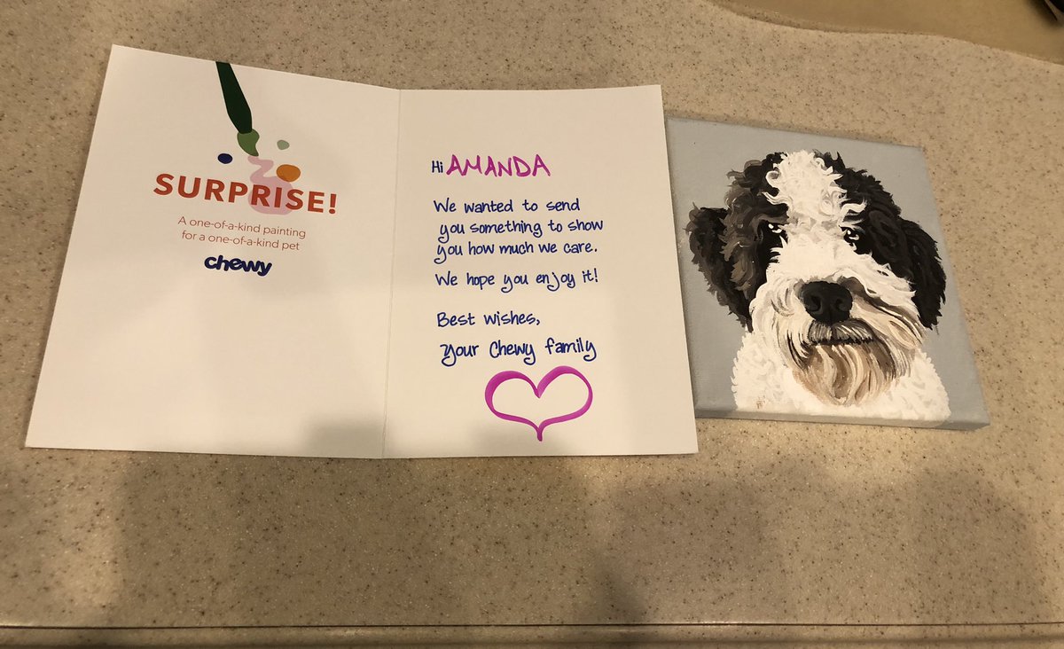 ajwebster826's tweet photo. @Chewy What an incredible surprise in the mail today. We love it! https://t.co/4LaAFXryJU