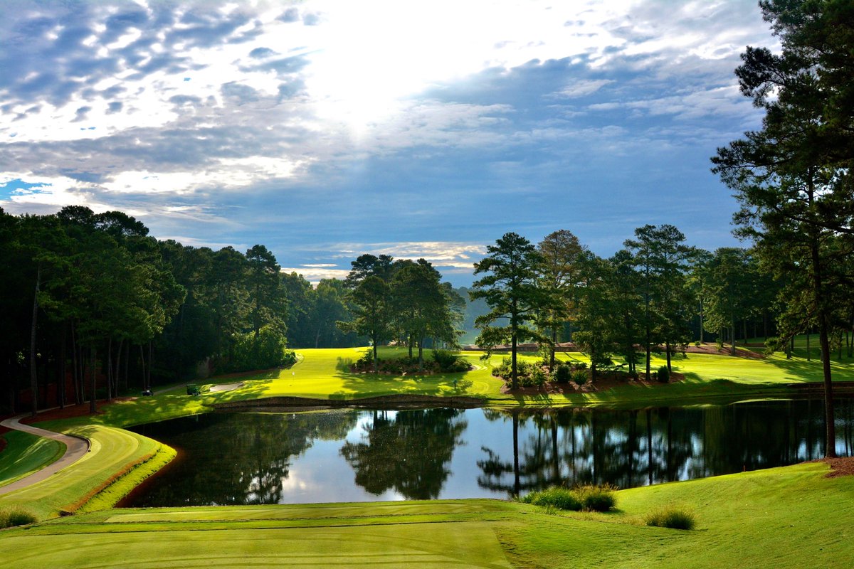 Georgia State Golf Association tweet media