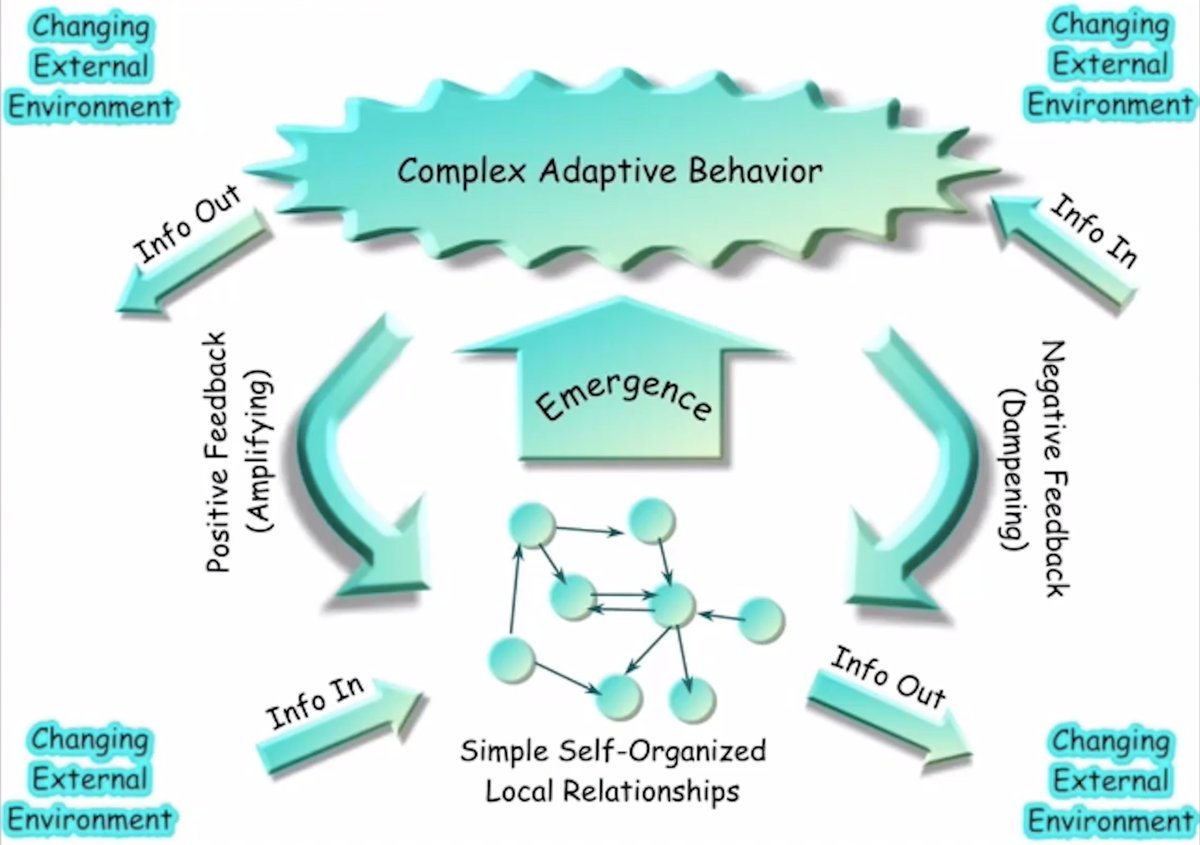 meriahdejoseph's tweet image. Just wrapped up an awe-inspiring &amp;amp; seriously cool weeklong workshop on #complexitymethods led by @FredHasselman. Esp loved nerding out w/ @isaStallworthy &amp;amp; @A_R_Palmer while watching -- it&apos;s extra exciting when you learn new methods that align so well w/ developmental theory 🤓