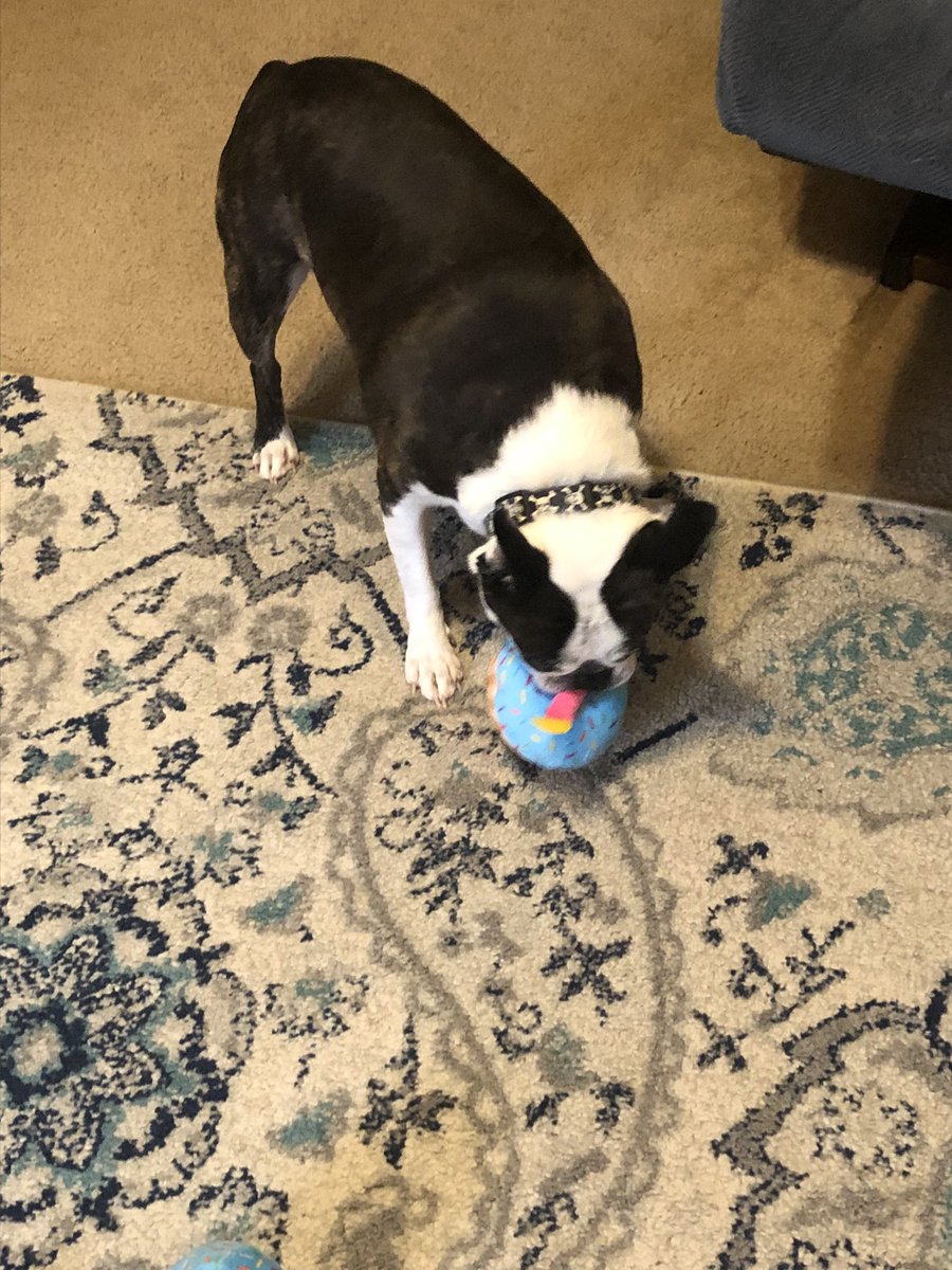 BTWinston's tweet photo. New toys too! https://t.co/1qKHwZbM9a