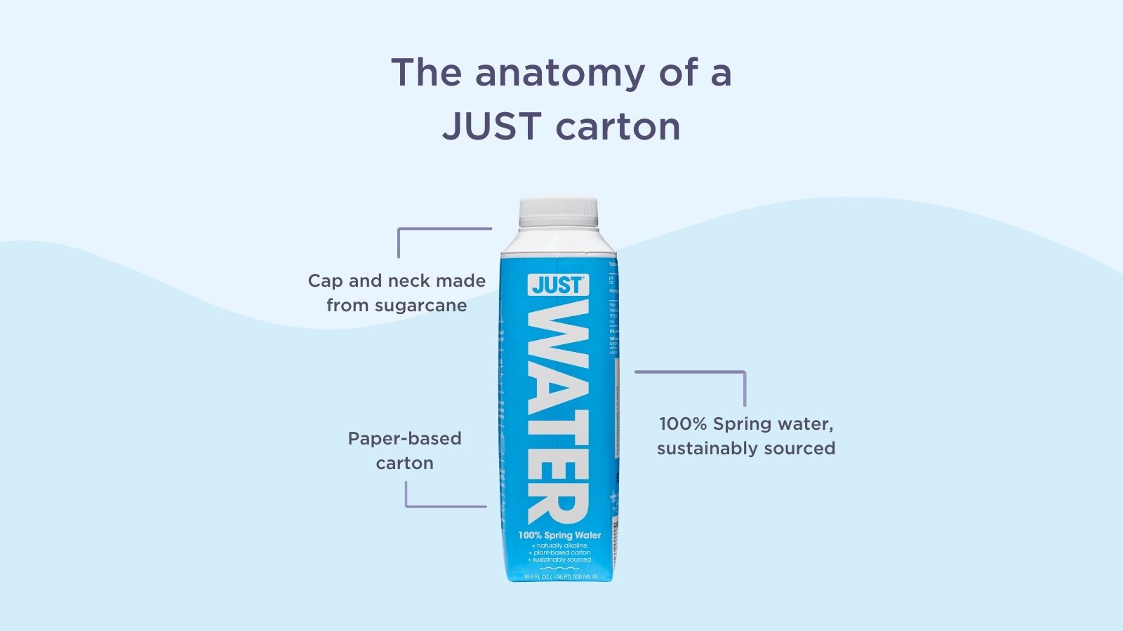 JUST water on X: Sure, you passed Anatomy 101. But what about JUST  Anatomy? Study up with us 💦 (Trust us, we wish it was a real class, too)  #drinkJUST #Sustainability #PlantBased #