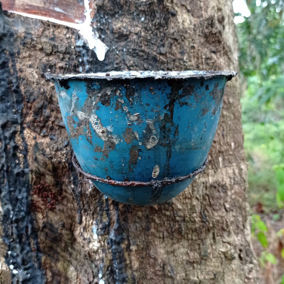 Tuhan beri aku sehat,sabar dan syukur yg melimpah,agar bisa menghidupi kedua saudaraku,(agi nderes malah mendung yak) 🙃