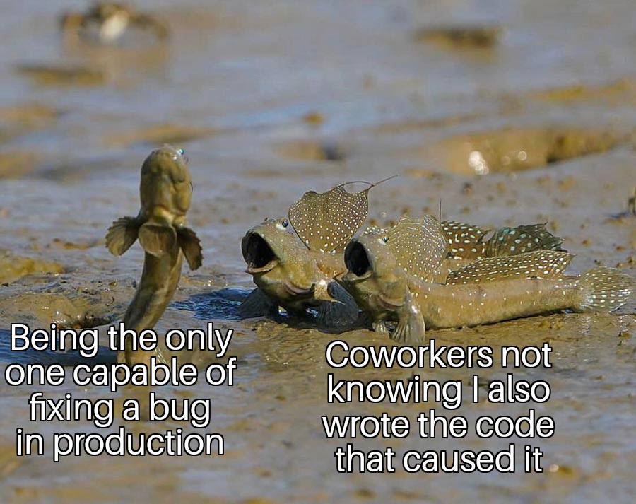 codespells's tweet image. 😲 #codingmemes #programmingmemes