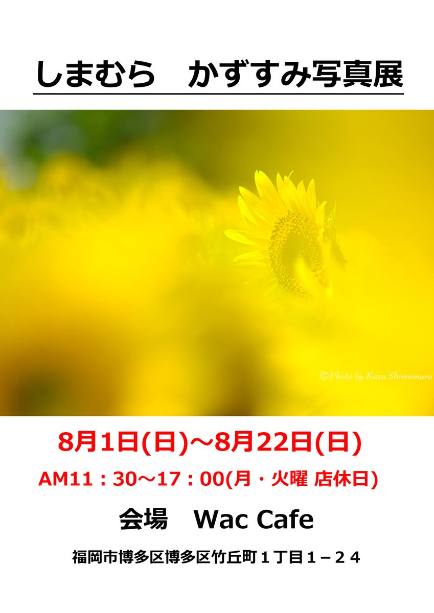 しまむら かずすみ Kazuphotography Frebullroo Twitter しまむら かずすみ Kazuphotography Frebullroo Twitter