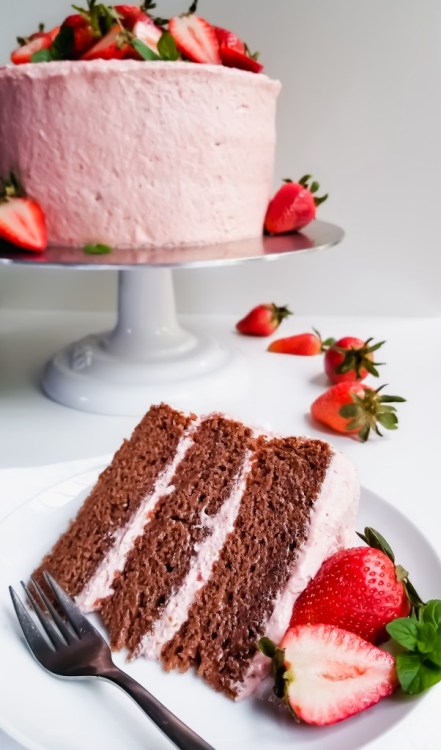 Happy Belated birthday <a href="/SiphonicHybrid/">Lorelai Wardwell / New Pinned</a>!