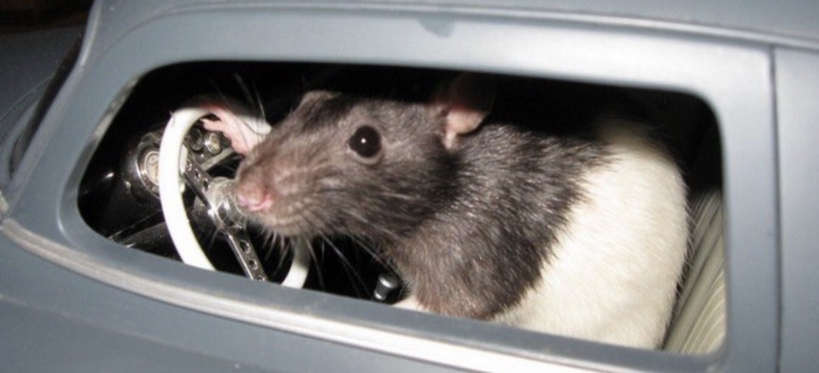 - « Ah resto ? désolé Jsuis pas vacciné, on peux aller se balader stv »