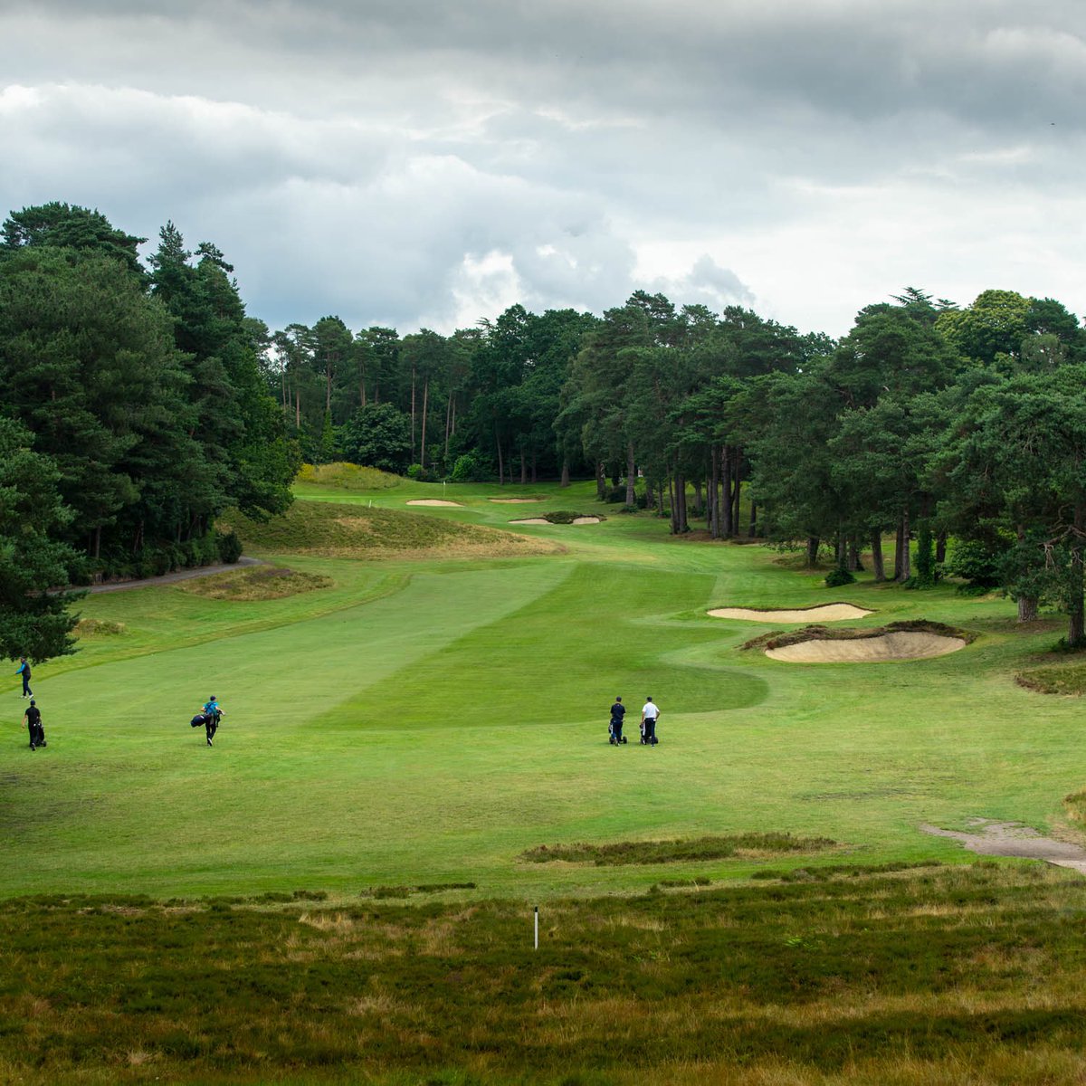 GolfCharley's tweet photo. Really looking forward to getting out and playing this week in the McGregor Trophy @CamberleyHeath, the course is fantastic and it’ll be a fun challenge. @ProDreamUSA #walesgolf @rydalpenrhossport https://t.co/OjyzL9Loqk