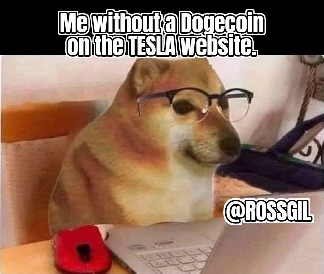 Teslafans @Tesla @teslamemes #Dogecommunity #Dogecoin #DogecoinToTheMoon #Teslacommunity