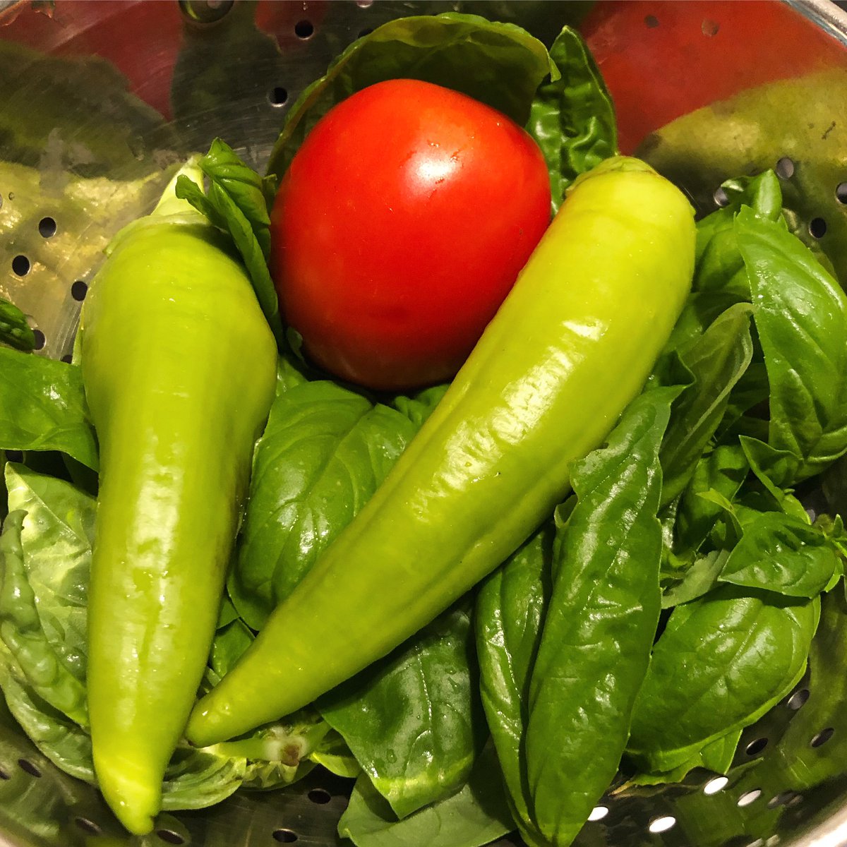 MarkFairbanks's tweet photo. #urbanpizzafarm #freshtoppings https://t.co/IH2b2KRAK0