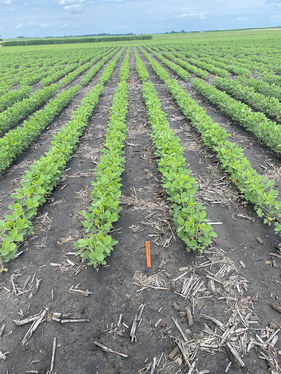 Jeff Bethard tweet media