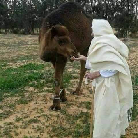 نــاس قبـل قـــالو 
رزق الحـلال يعــوج الظهــر 
 لكـن مـايواطيش الــراس
ــــــ
مـاتنحــني يـانفس ردي بـالك
 ولاتنــزلي منــازل ذيـول لصــاقه
ولا تـرغبي فـي شي مايبقالك
 خليـها علي اللـه واسعات أرزاقـه

         ♤ ...مساء الخير  ياهلــنا ...♤