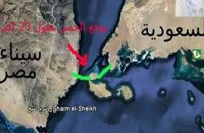 Mohamed Altemawy Altemaway Twitter