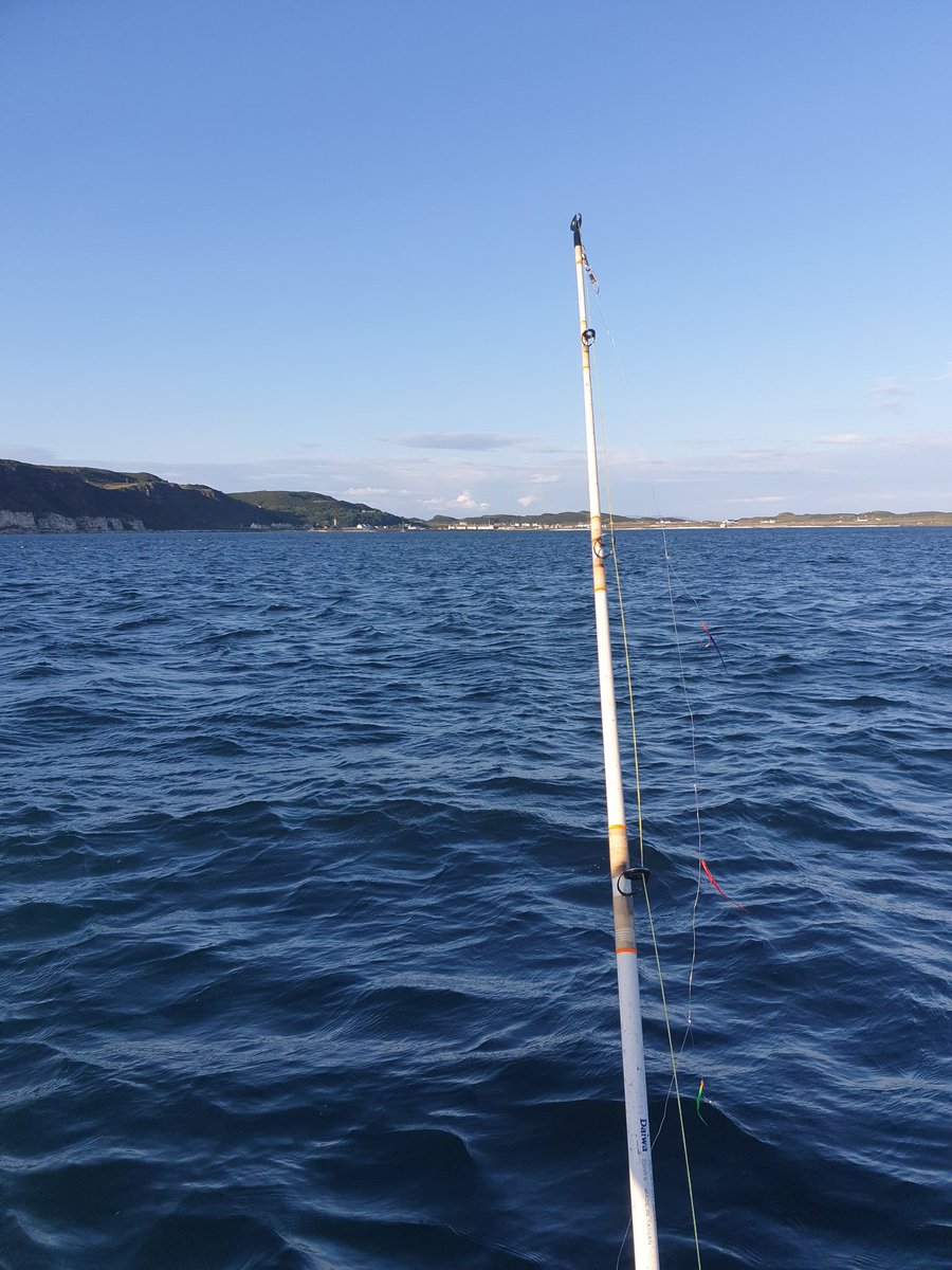 MalMcCurdy's tweet photo. Nice end to the day. Captain of the house at the wheel and few fish even caught. https://t.co/tOgSuBwWHY