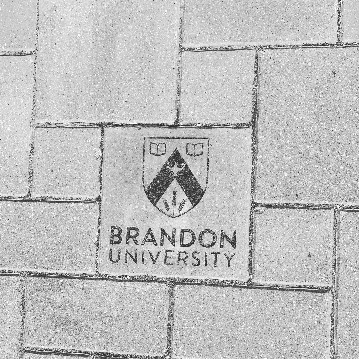 ProvincialEx's tweet photo. The โYour Name In Stoneโ campaign is going great!
Thanks @BrandonUni! Your stone looks great!
For more info on how to get your own stone call 204-726-3590 or email Info@provincialex.com!
#savethefairs #loveafair #brandonmb #manitoba https://t.co/U9yAq4FkMe