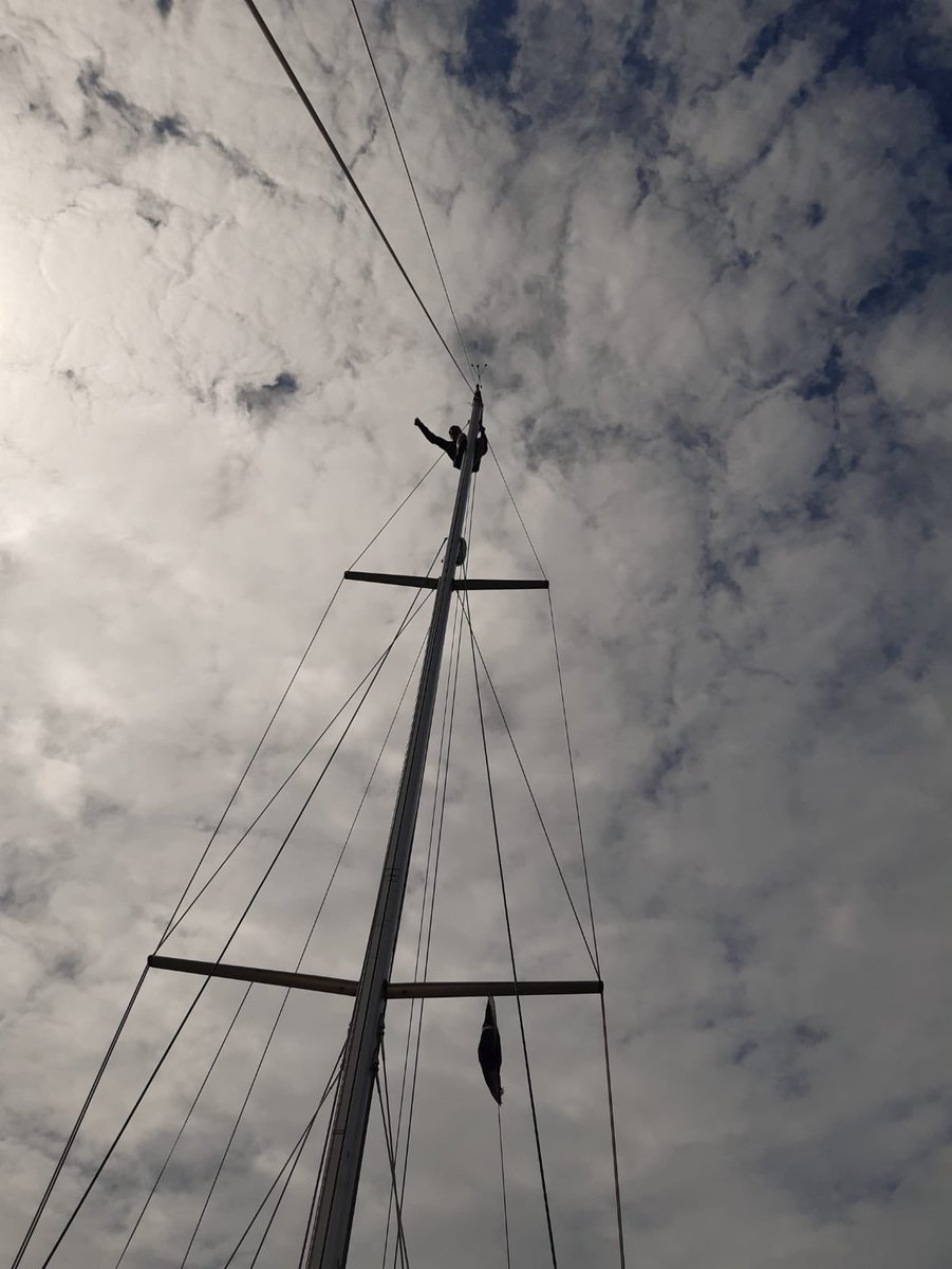 GunnerSailing tweet media