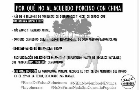 Melbenittez's tweet photo. para que sepan por qué NO al acuerdo porcino con China. Dejen de crear falsas soluciones. https://t.co/IX7e2LmllH