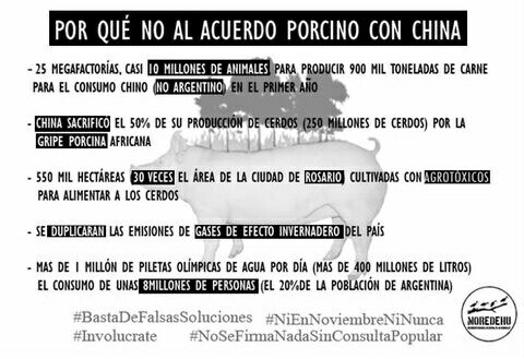 Melbenittez's tweet photo. para que sepan por qué NO al acuerdo porcino con China. Dejen de crear falsas soluciones. https://t.co/IX7e2LmllH