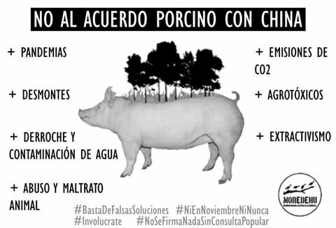 Melbenittez's tweet photo. para que sepan por qué NO al acuerdo porcino con China. Dejen de crear falsas soluciones. https://t.co/IX7e2LmllH
