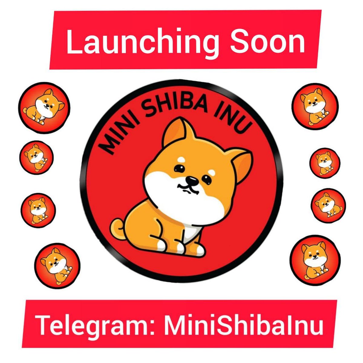 eatmyAouse's tweet photo. @elonmusk @greg16676935420 #MiniShiba is gonna be the next #MiniDogeCoin  
@MiniShiba_Token https://t.co/svXLO5MgZq