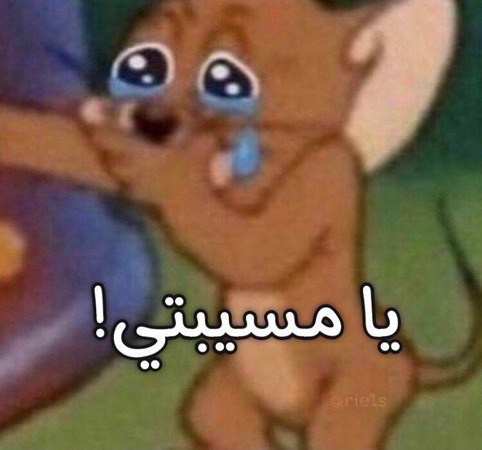 R7a44's tweet photo. انا انقبلت رياضيات الي تخصصهم رياضيات بشروني كيف صعب ولا وش  شكلي بحول  #جامعه_القصيم https://t.co/VM76hAUzN5