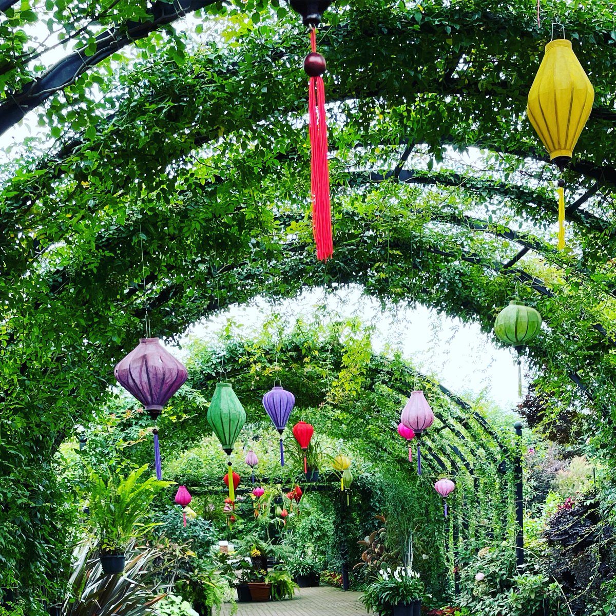 上星川hair Cut T Kh Haircutt Twitter