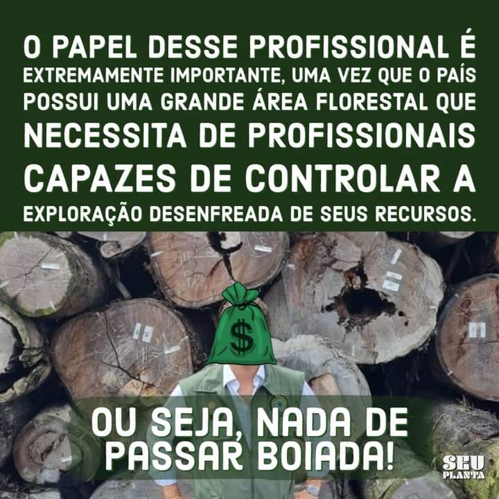SeuPlanta's tweet photo. Parabéns aos profissionais de Engenharia Florestal👏👏👏👏👏👏👏👏👏👏

https://t.co/vdB8G4cfVK

#tomevergonhanacara #engenhariaflorestal #diadoengenheiroflorestal #meioambiente #seuplanta🍀 https://t.co/XXmZStw2RT