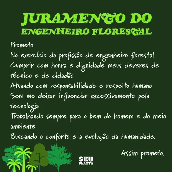 SeuPlanta's tweet photo. Parabéns aos profissionais de Engenharia Florestal👏👏👏👏👏👏👏👏👏👏

https://t.co/vdB8G4cfVK

#tomevergonhanacara #engenhariaflorestal #diadoengenheiroflorestal #meioambiente #seuplanta🍀 https://t.co/XXmZStw2RT