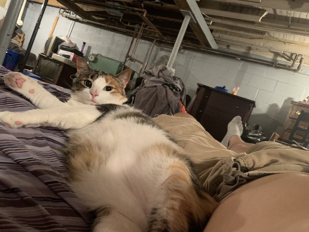 Content from natetrisky95
