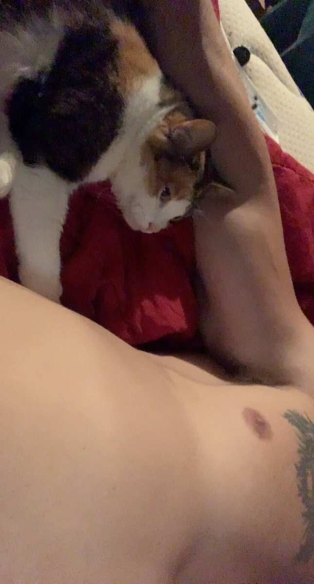 Content from natetrisky95