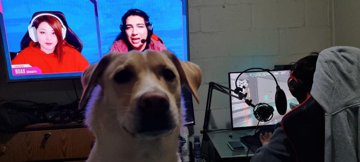 Teoisnotdead's tweet photo. Aqui viendo la #LigaProShot mientras mi sobrino juega valorant, siempre con los genios @boaxTTV y @caster_batuzai y mi doggy🥰🥰 https://t.co/HT0WFKJvOE