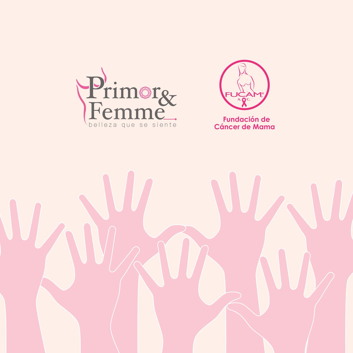 FemmePrimor's tweet image. Te esperamos, viernes 20:00 hrs.
16 de julio 2021

#CanceDeMama #Genomica #Aliados #DonaFUCAM #FUCAM #DetecciónOportuna #DejandoHuellasTransformandoVidas #Bellezaquesesiente #cancer  
@FUCAMM