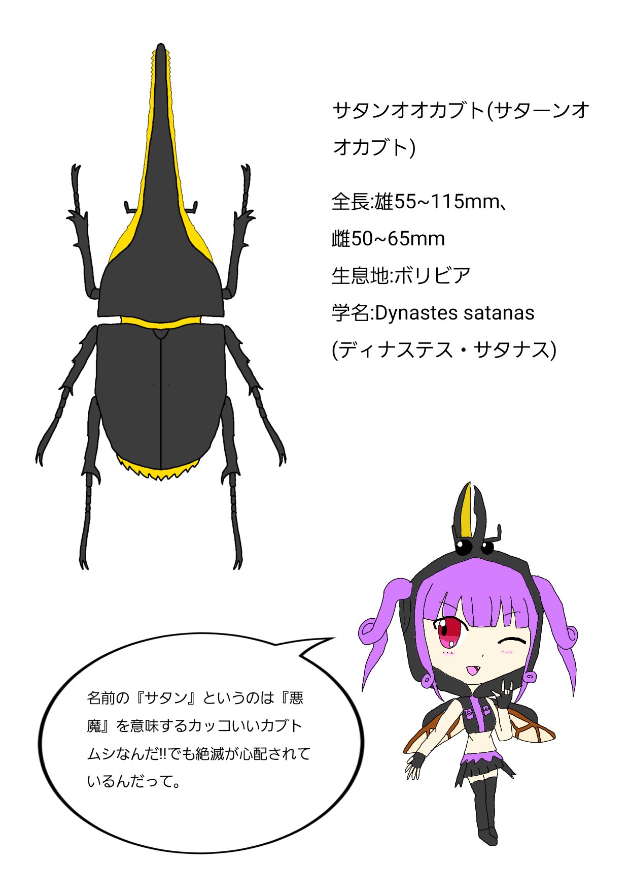 تويتر 人外が好きなlittle A على تويتر 昆虫図鑑風イラストを描きました 今回はサタンオオカブトfeat 宇田川あこ ボリビアにしかいない貴重なカブトムシです そして中二病な彼女に相応しいネーミング イラスト イラスト好きな人と繋がりたい イラスト好き