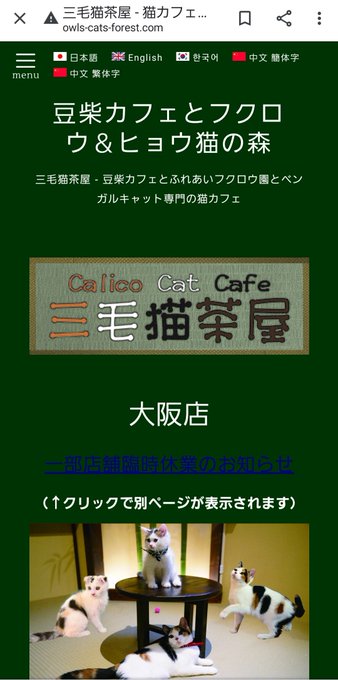 猫茶のtwitterイラスト検索結果 猫茶のtwitterイラスト検索結果