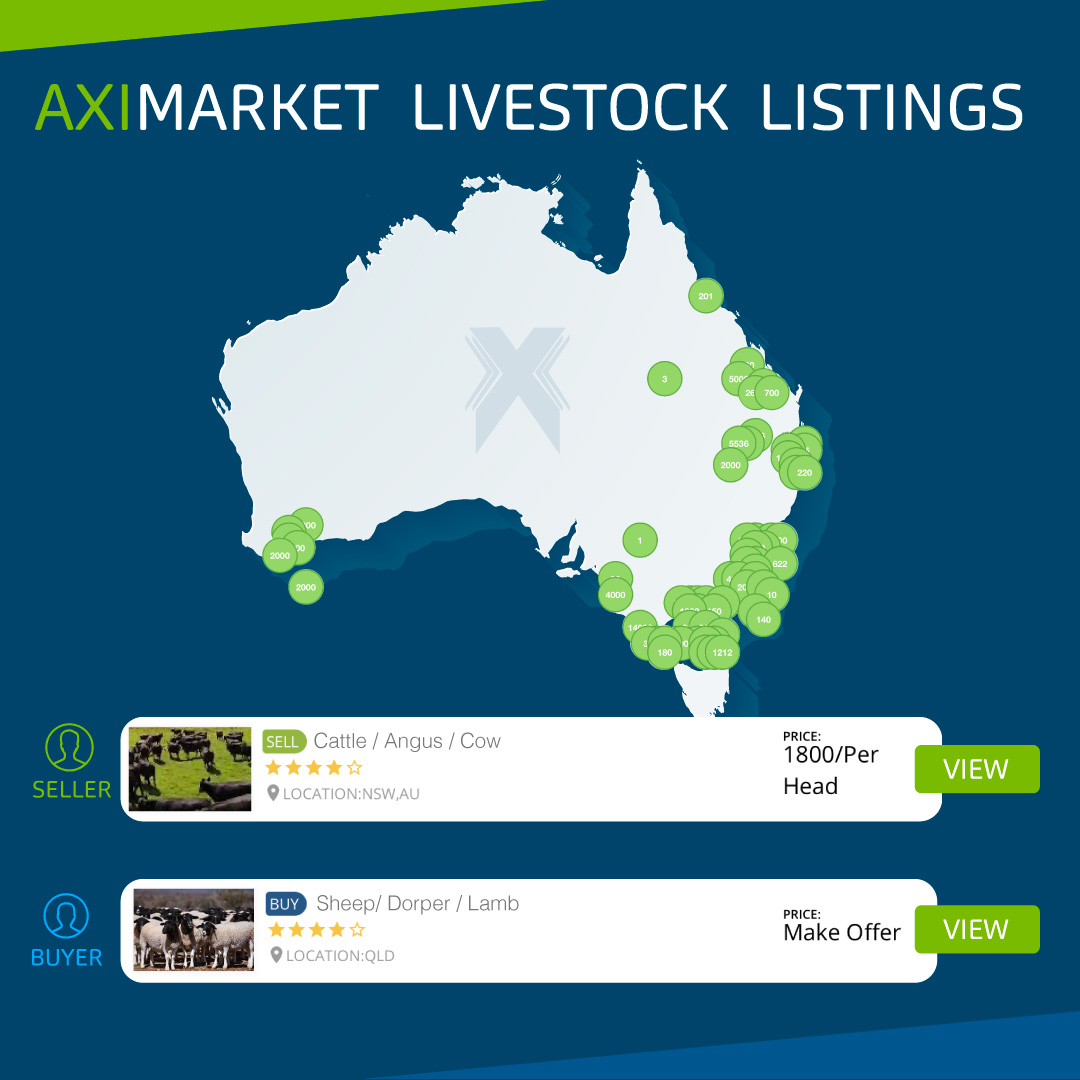 Looking to sell or buy livestock?

Check out our AXImarket listings here: axichain.io/market.html