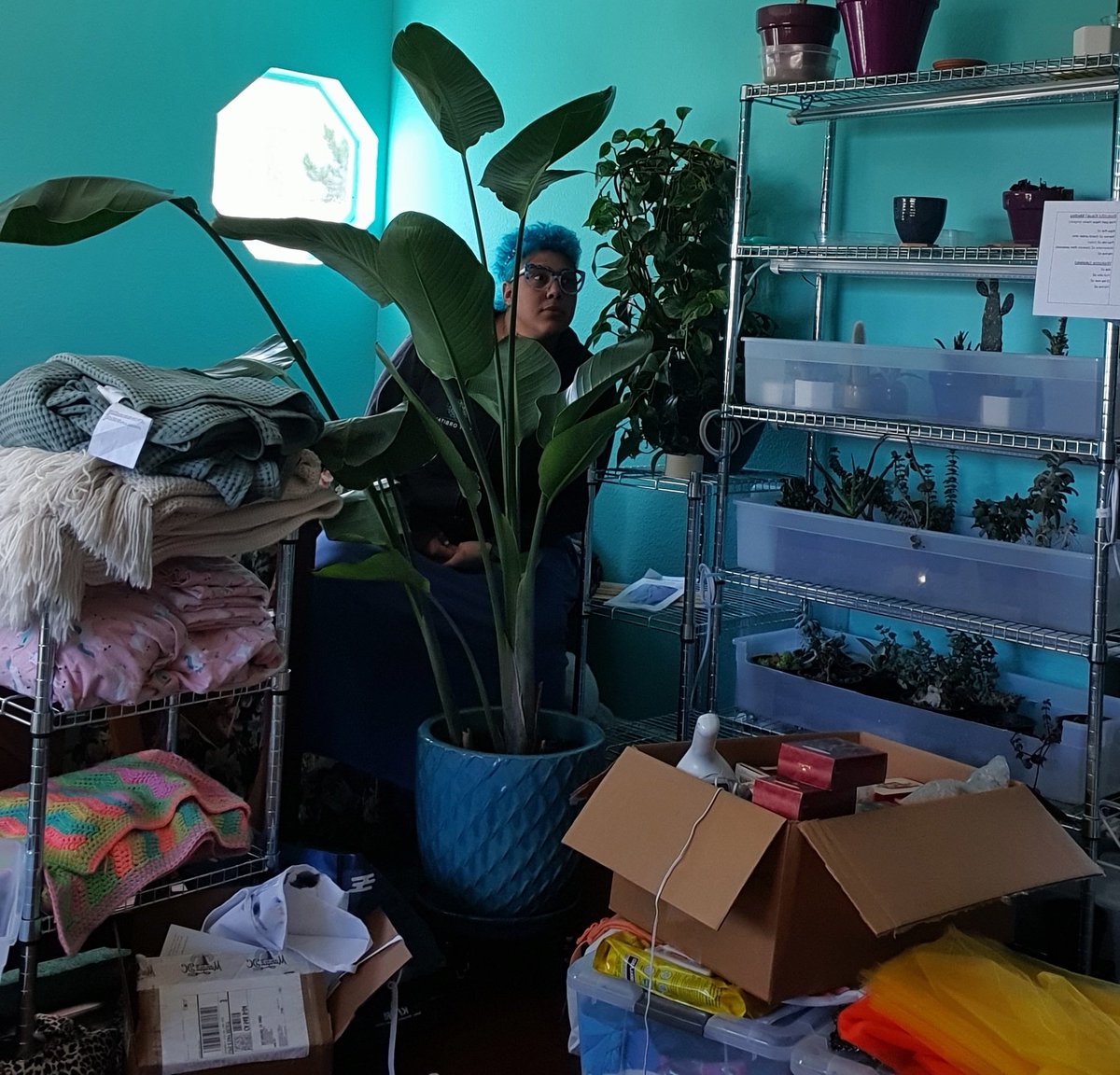 Lisa tweeting for Beep tweeting for Lisa tweet media