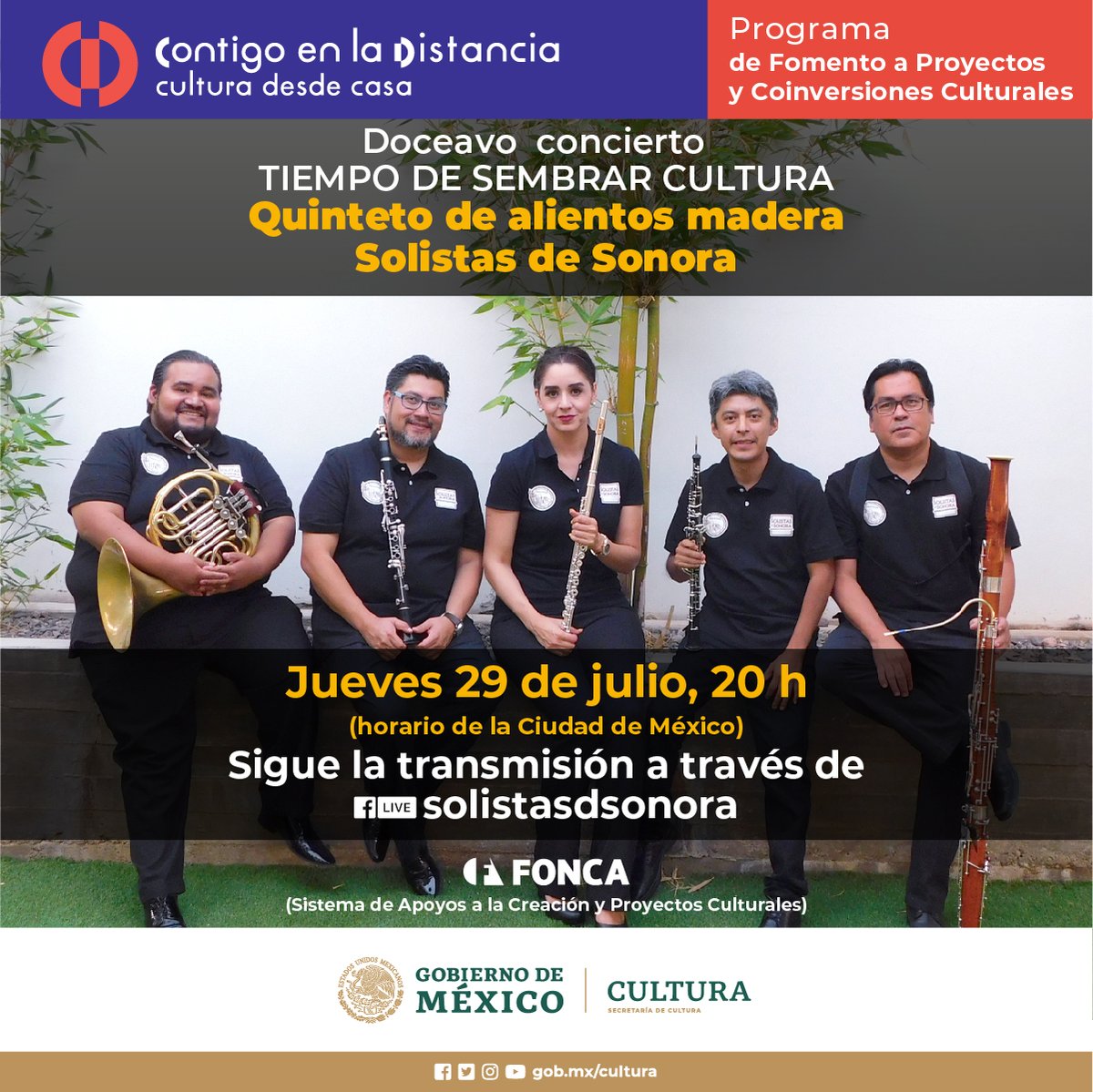 SistemaCreacion's tweet photo. El doceavo concierto de “Tiempo de sembrar Cultura” se llevará a cabo este 29 de julio. Asiste desde casa a este recital del Quinteto de Alientos Madera y disfruta de su música 🎻

👉 https://t.co/HeCtDREaWC 
20 h

#ContigoEnLaDistancia https://t.co/tQS0cjbGQv