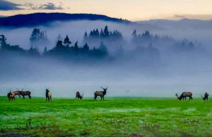 Сайхан амарцгааж байна уу амар амгаланг eрөөe намайг дагавал нарны гэрэл ээ гэж заавал эргэж даганаа баярлалаа