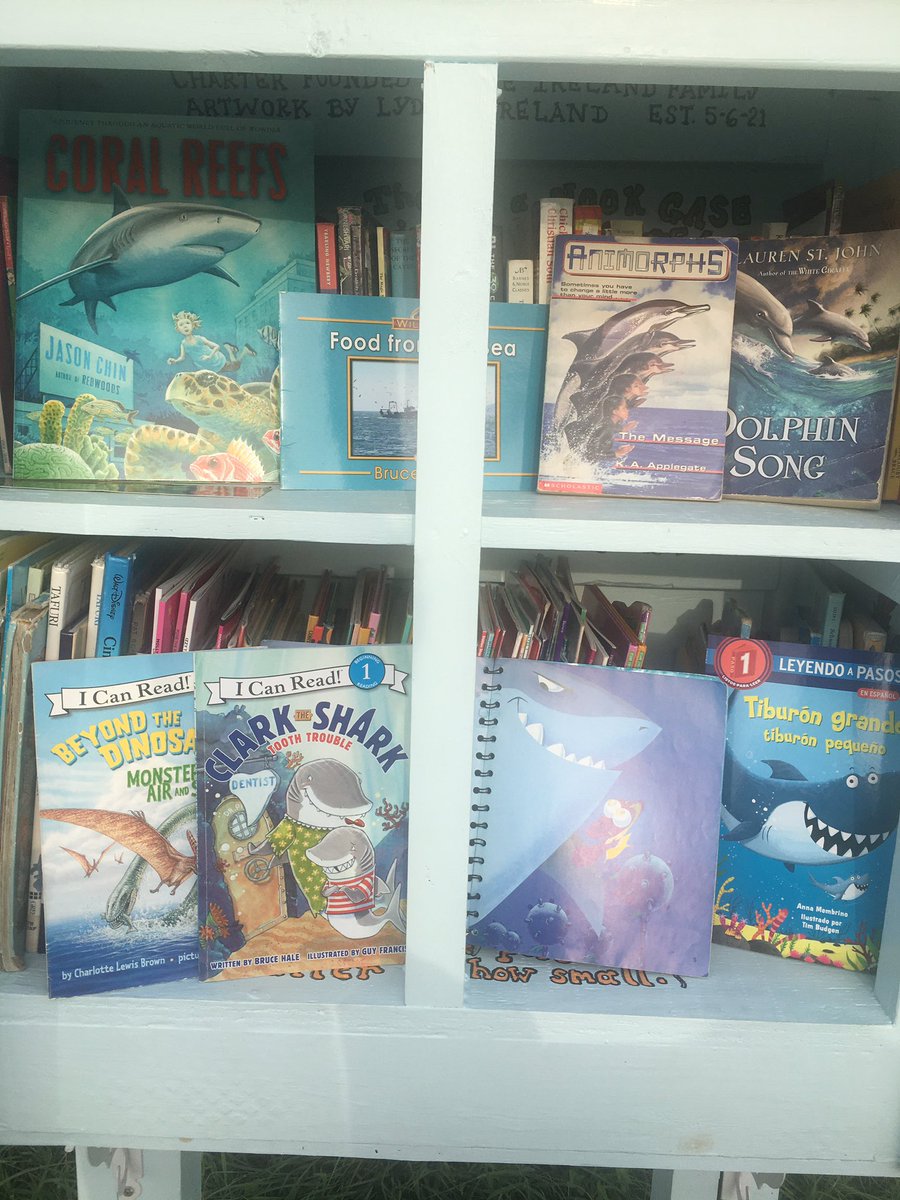 Ceimusic's tweet photo. @NISDFranklinES Read a book doo doo doo doo doo doo #sharkweek2021 https://t.co/etR5DqKiqB