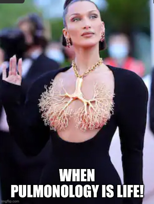 rosc_md's tweet image. #BellaHadid 
#pulm 
#bronch
#medtwitter