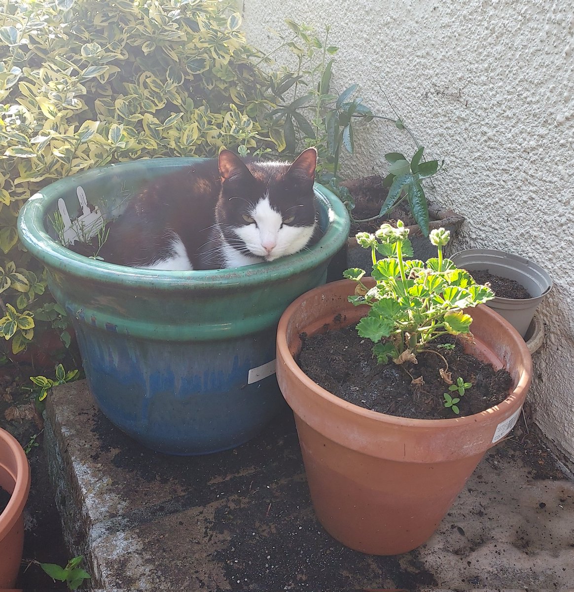 Mary Cc 💙 tweet media